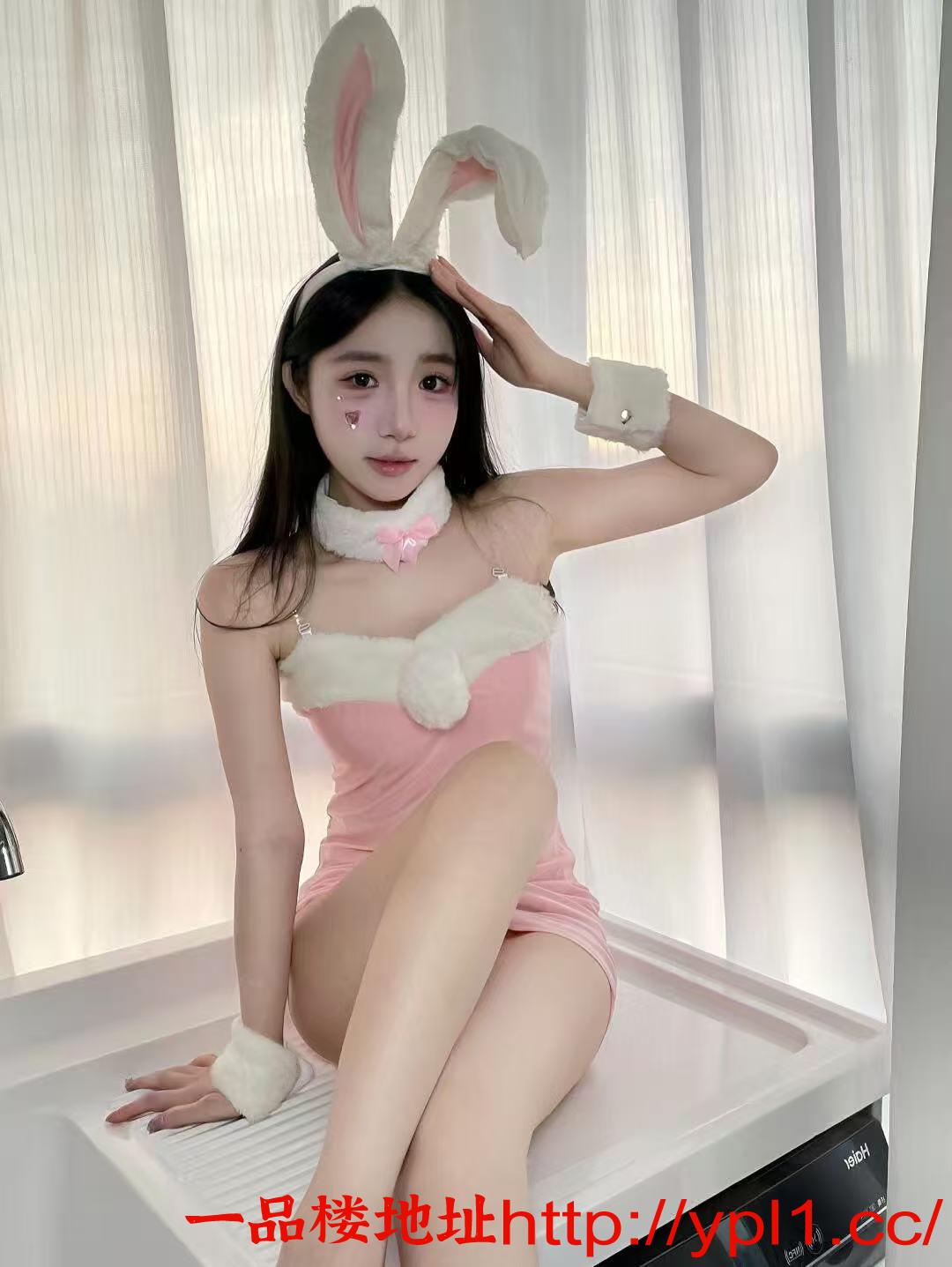 区品茶记